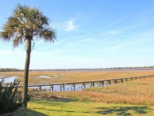 A bridge passing through a large farm and large palm tree at 204 Sans Souci Street Unit 5B Charleston, SC 29403