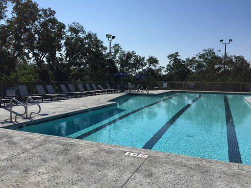 An image of the swimming pool