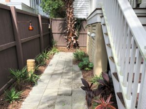 An image of the backyard of the house with plants