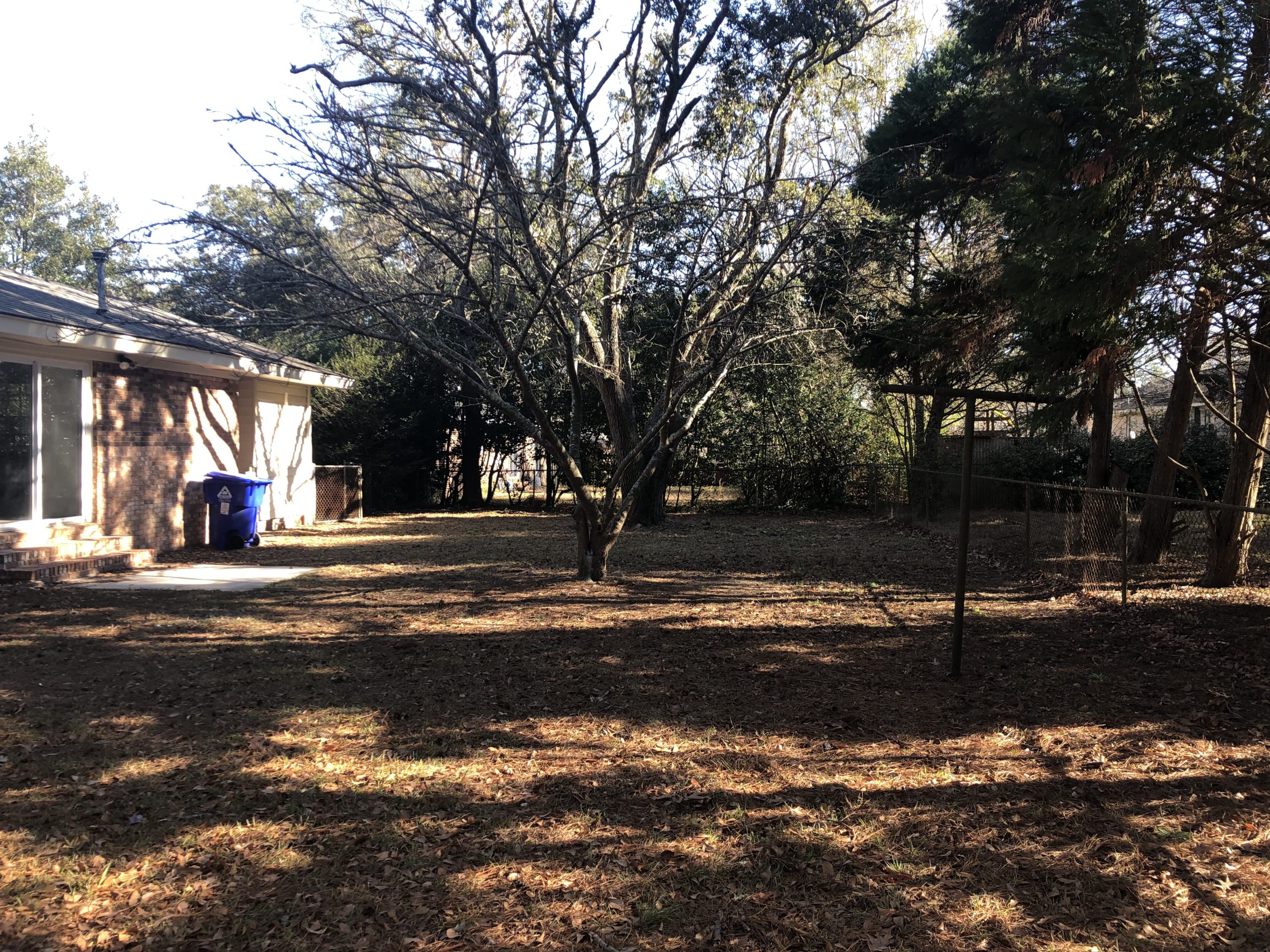 An image of the yard next to the house at 1832 Gippy Lane West Ashley Plantation