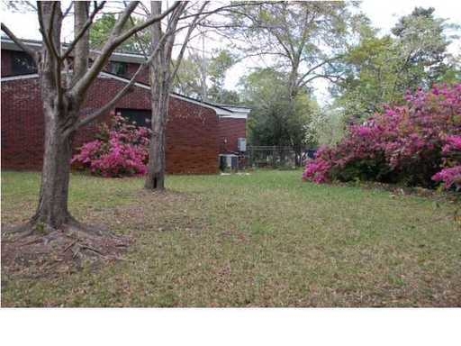 An image of the pink flowers in the backyard