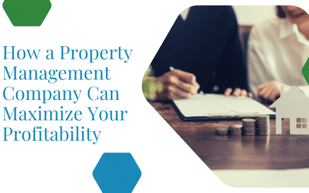 How a Property Management Company Can Maximize Your Profitability